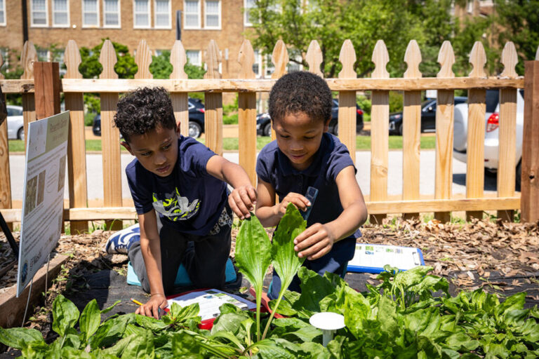 WashU scientists, U. City students research plants together